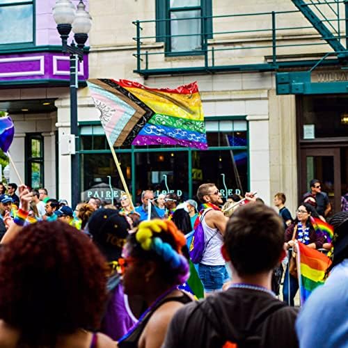 Флаг Гордост FULAISMGS, Флаг ЛГБТК, Флаг Малък Двор, лесбийки, бисексуални, гейове, Трансгендер, Инклюзивный Градина Напредък, Дъгата