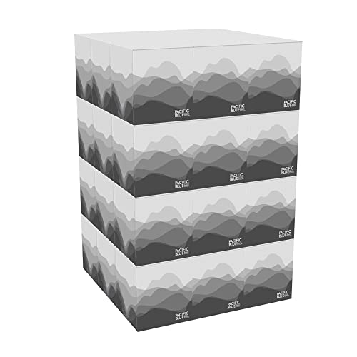 Двупластова кърпа за лице Envision От GP PRO (Джорджия-Тихоокеанския регион); Nissan Cube; 47510; 85 листа в кутия; 36 Кутии в калъф